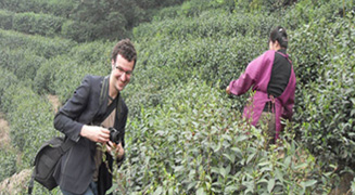 國外友人來賢峰茶葉園觀賞